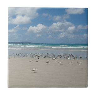 Carreau Plage avec mouettes