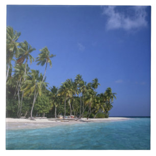 Carreau Plage de palmiers, Maldives