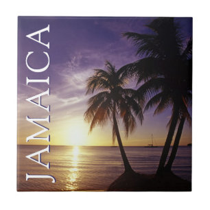 Carreau Plages de Negril Jamaïque