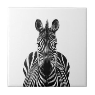 Carreau Plan de sauvegarde III