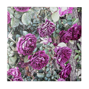 Carreau Plan d'encre rose