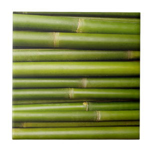 Carreau Plante de bambou vert tropical