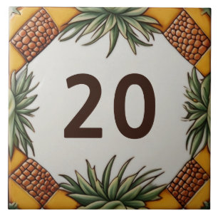 Carreau Plante du désert d'ananas Numéro de la maison Plaq