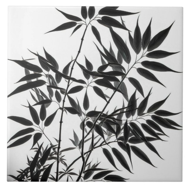 Carreau Plante en bambou noir et blanc (Devant)