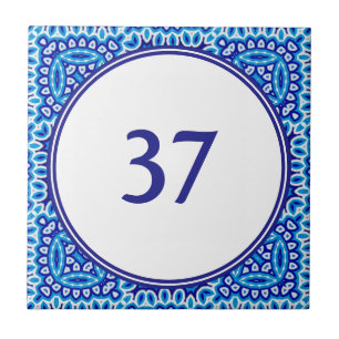Carreau Plaque de coordonnées de la Maison Blanche et Bleu