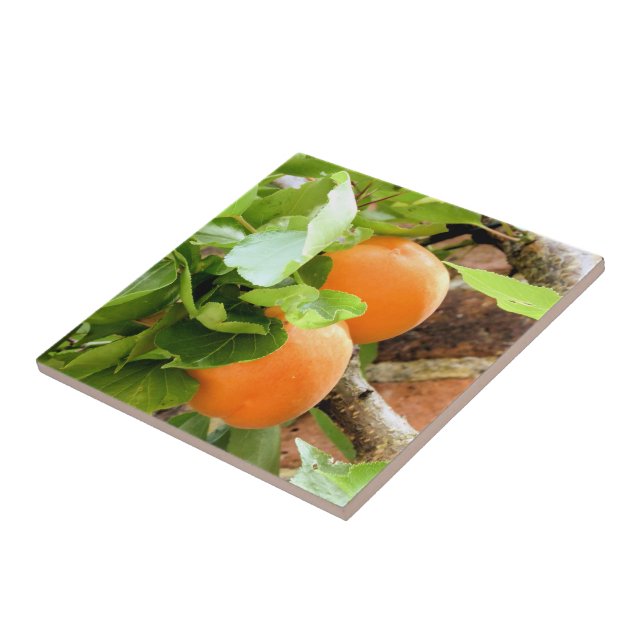 CARREAU PLUMES (Côté)