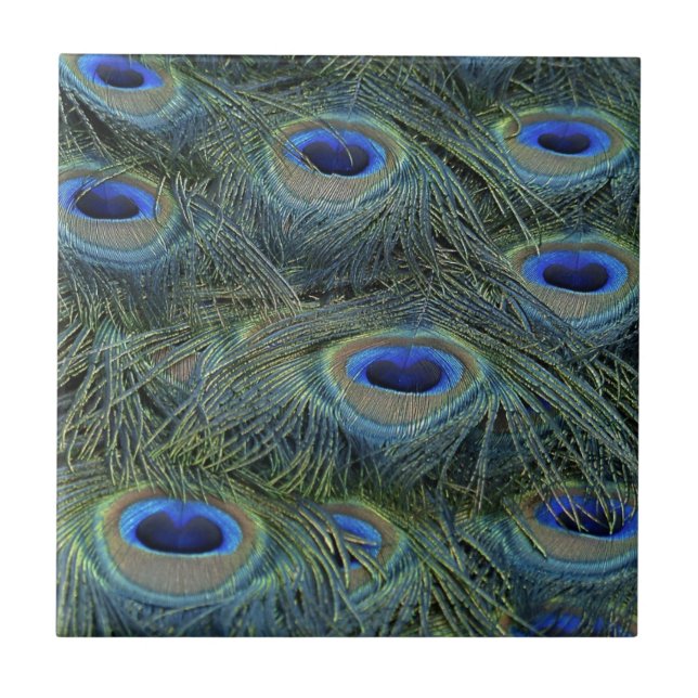 Carreau Plumes de paon (Devant)