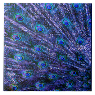 Carreau Plumes violettes Peacock Couverture bébé