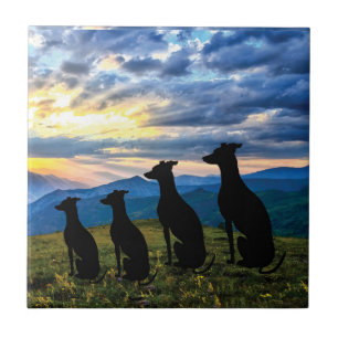 Carreau Points de vue - Coucher de soleil de Greyhound