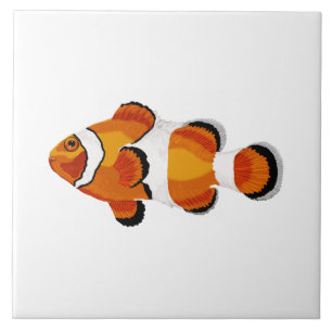 Carreau Poisson clown