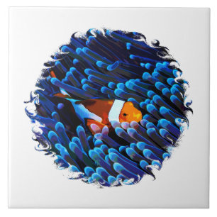 Carreau Poisson-clown dans un anémone