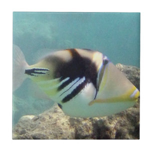 Carreau Poisson d'État d'Hawaï - Humuhumunukunukuapua'a