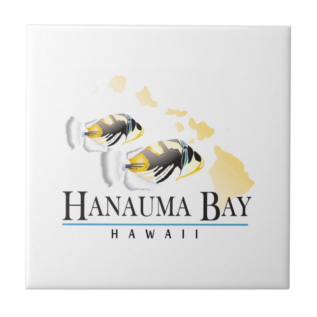 Carreau Poisson d'État d'Hawaï - Humuhumunukunukuapua'a (Devant)
