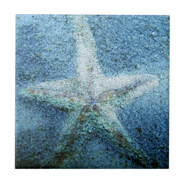 Carreau Poisson étoilée dans le sable (Devant)