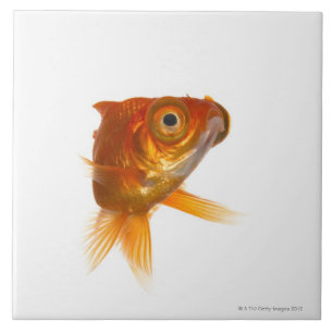 Carreau Poisson rouge avec les grands yeux 3