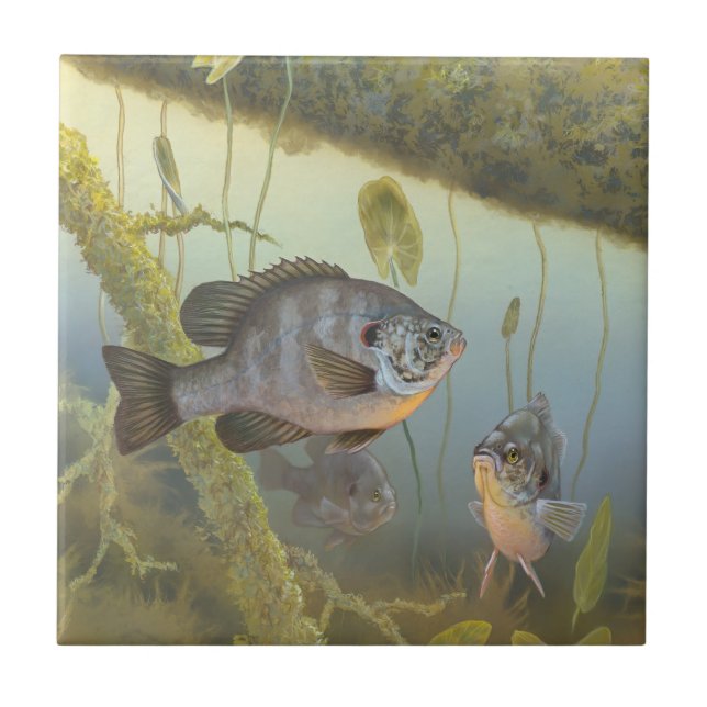 Carreau Poisson-soleil  (Devant)