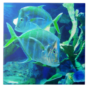 Carreau Poisson Tropical, Bleu, Carrelage en céramique
