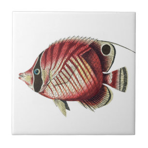 Carreau Poisson vintage d'anges tropicaux