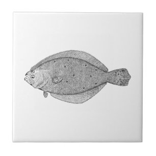 Carreau Poissons de mer vintages (flet d'été)