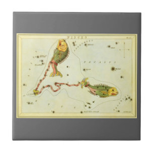 Carreau Poissons, miroir de la constellation Vintage de l'