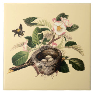 Carreau Pommes en fleurs et nid d'oiseaux