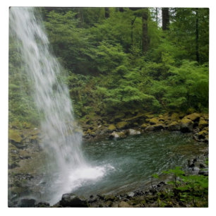Carreau Ponytail Falls, OU