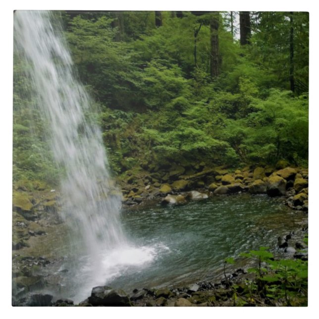 Carreau Ponytail Falls, OU (Devant)