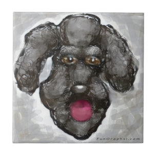 Carreau Poodle