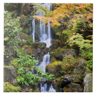 Carreau Portland, Orégon