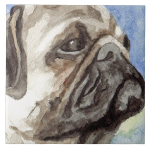 Carreau Portrait carlin aquarelle