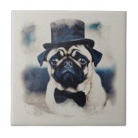 Portrait de Carlin vintage BLue Tux