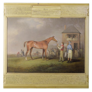 Carreau Portrait de "jeu-concours", la propriété de