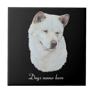 Carreau portrait d'extraordinaire beau chien blanc akita