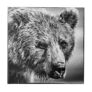 Carreau Portrait d'ours grizzli