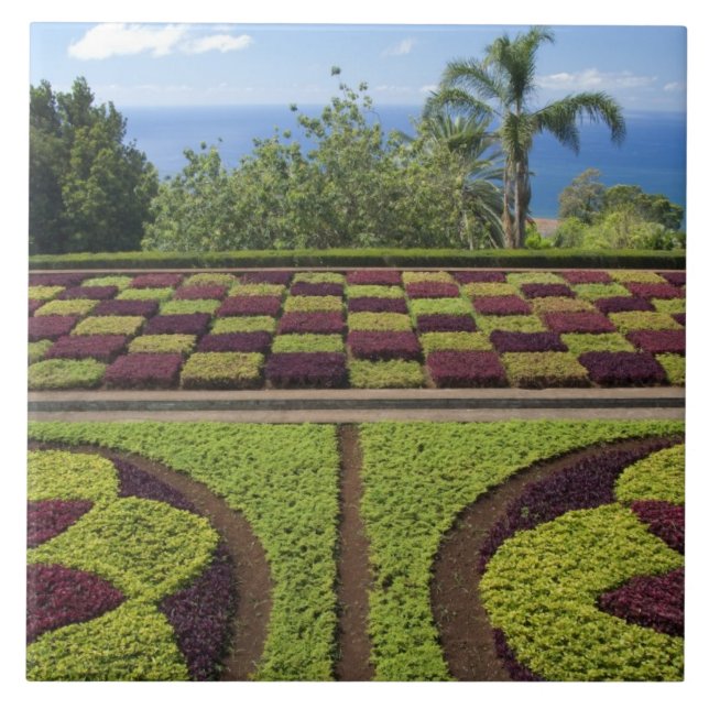 Carreau Portugal, île de Madère, Funchal. Botanique (Devant)