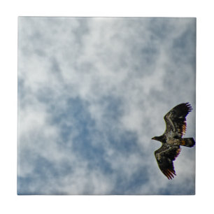 Carreau Possibilités à venir