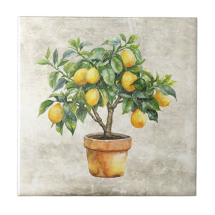 Carreau Pot de céramique d'arbre citronnier rustique