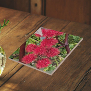 Carreau Pots Plantes Red Castor Bean