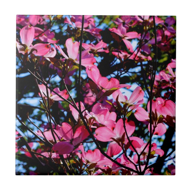 Carreau Poudrier rose fleuri photo en céramique (Devant)