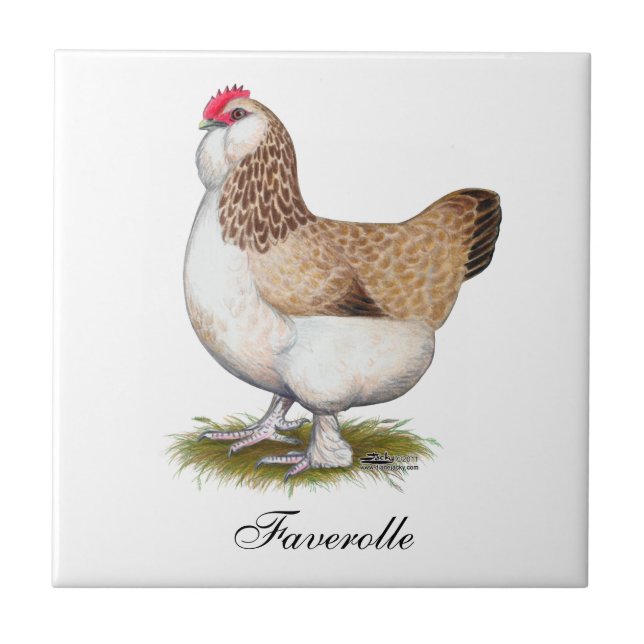 Carreau Poule saumonée de Faverolle (Devant)