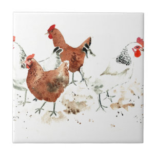 Carreau Poules