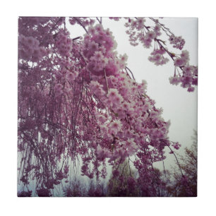Carreau Printemps
