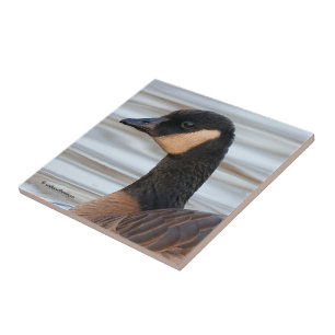 Carreau Profil d'une oie de caquetage