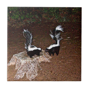 Carreau Puanteurs d'amour