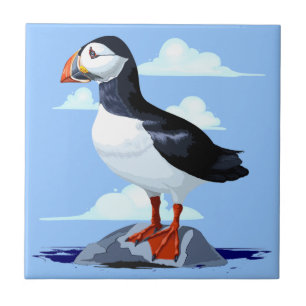 Carreau Puffin Cute Oiseau de mer Atlantique