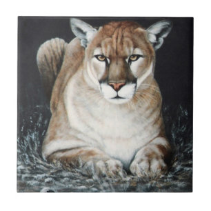 Carreau Puma de acroupissement