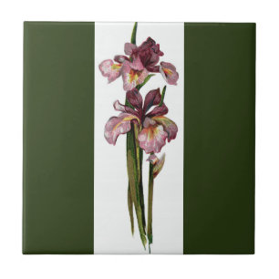 Carreau Purple Irises Vert foncé