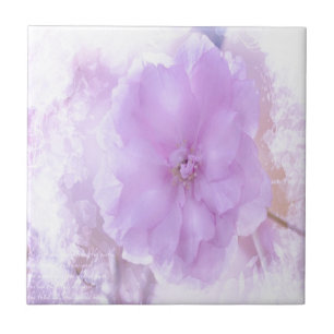 Carreau Purple Pansy