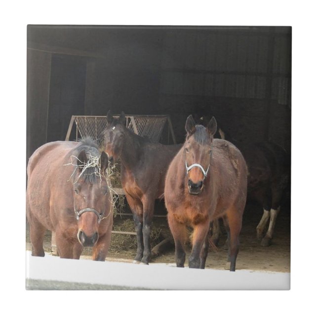 Carreau Quatre chevaux (Devant)