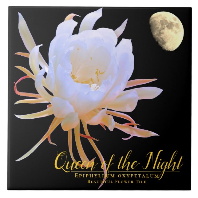 Carreau Queen of the Night タイル (Devant)